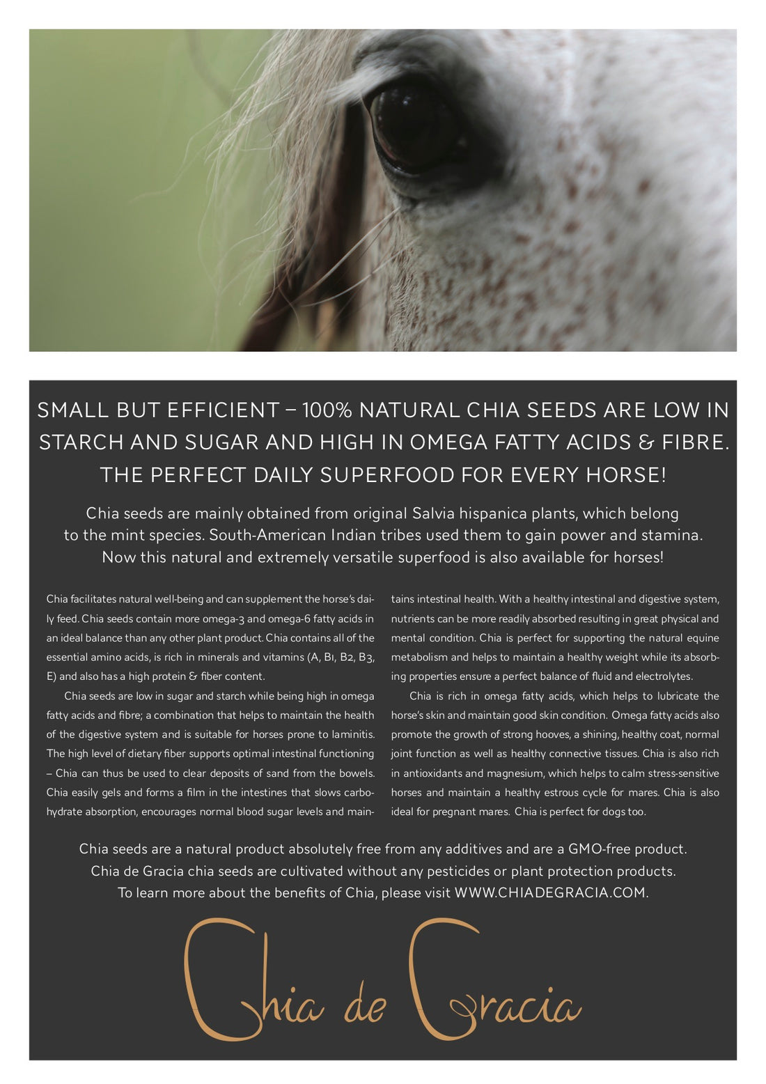 Chia Leaflet