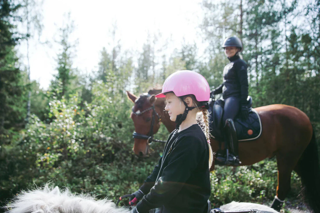 Lecithin- and Pectin-Based Supplements in the Treatment of Equine Gastric Ulcers