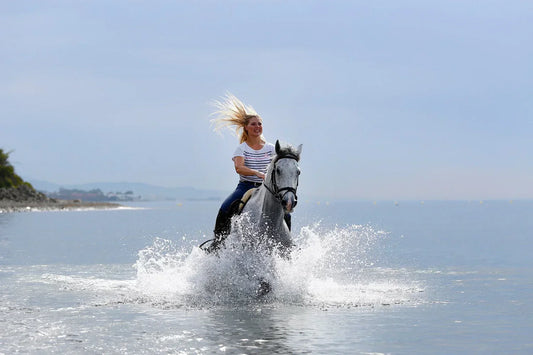 Joint Supplements Supporting Equine Well-Being and Performance