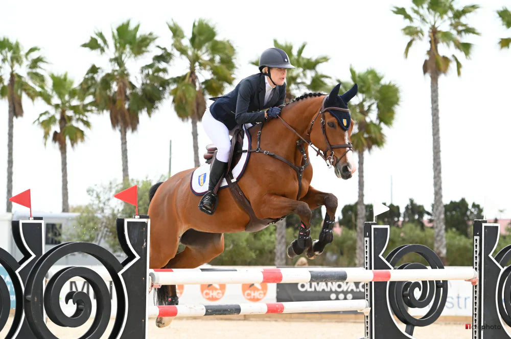 The queen of Anni Roslin's stable, Umbra, started a collagen course