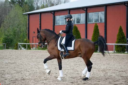 CdG rider Emmi Salminen and St´Ophir to the Nordic Championships in Drammen