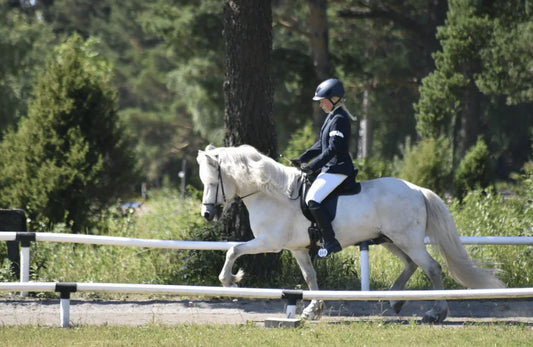 Gait rider Mari Väyrynen-Kunnas & the stunning young Icelandic stallion Heimur fra Austurkoti have already reached Finnish Championship medals