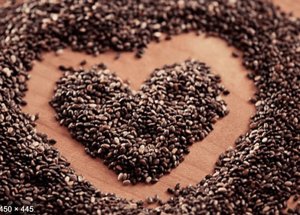 Did you know these 10 benefits of chia for horses?