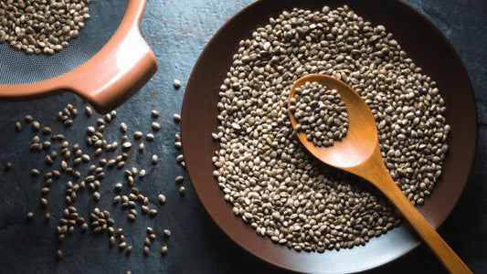 Hemp Is an Excellent Protein Supplement for Horses