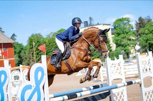 Six Things to Consider When Feeding a Competition Horse