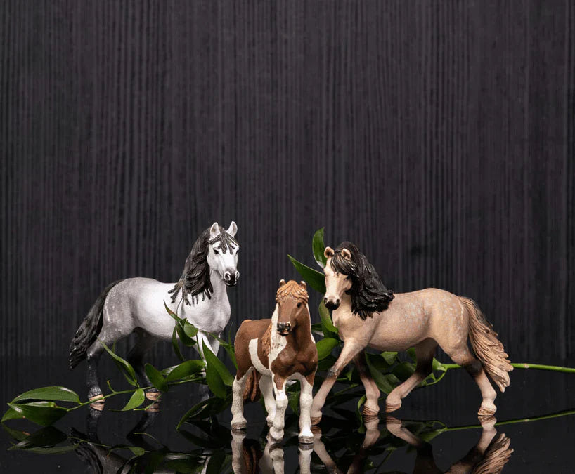 Plant Oils in Equine Feeding