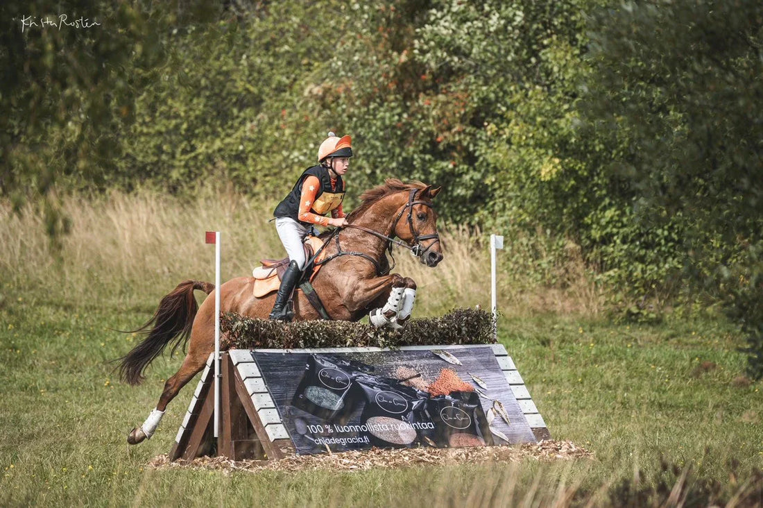 What Does a Horse Need to Recover From Hard Exercise?