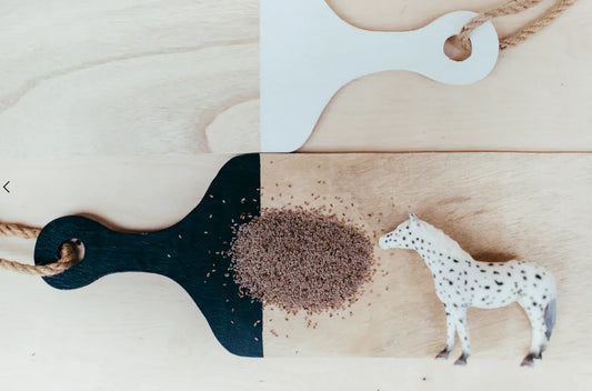 What Does a Poor Coat Tell You About a Horse?