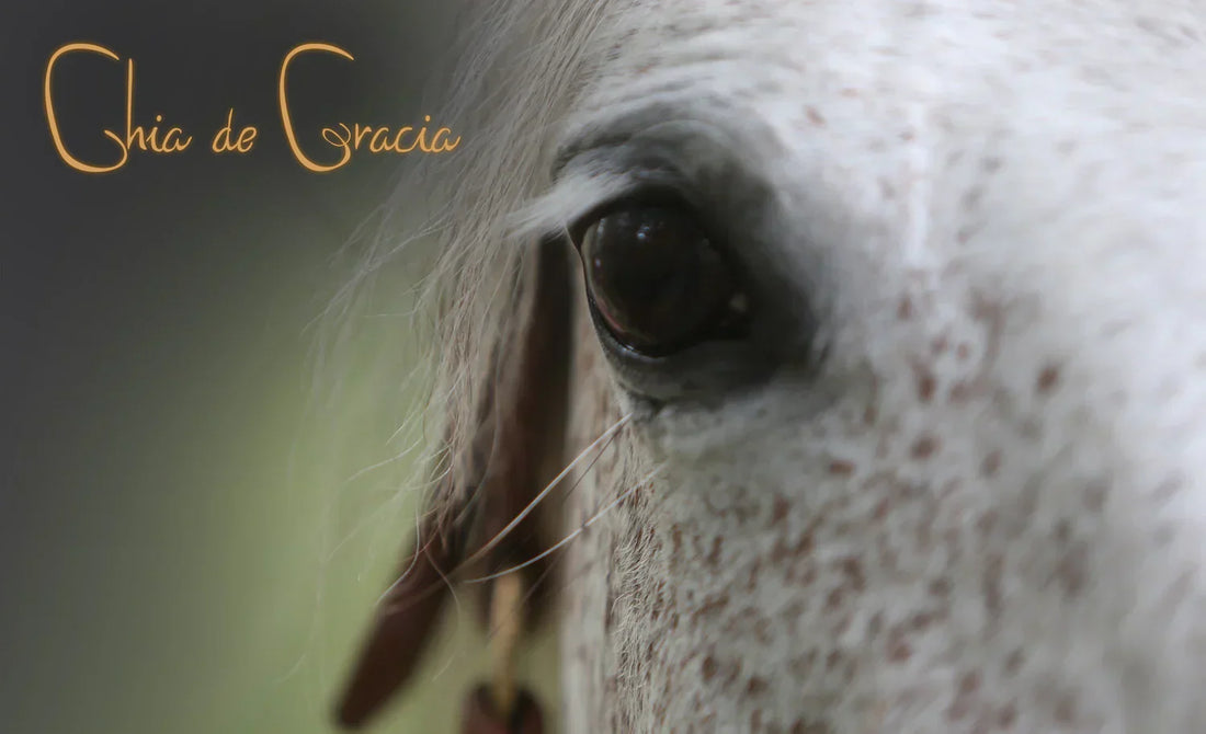 Spring Vitamin Top-Up for Horses