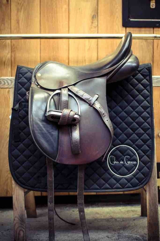 Feeding a competition horse requires careful consideration