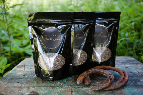 Nutritional value of chia seeds 100g