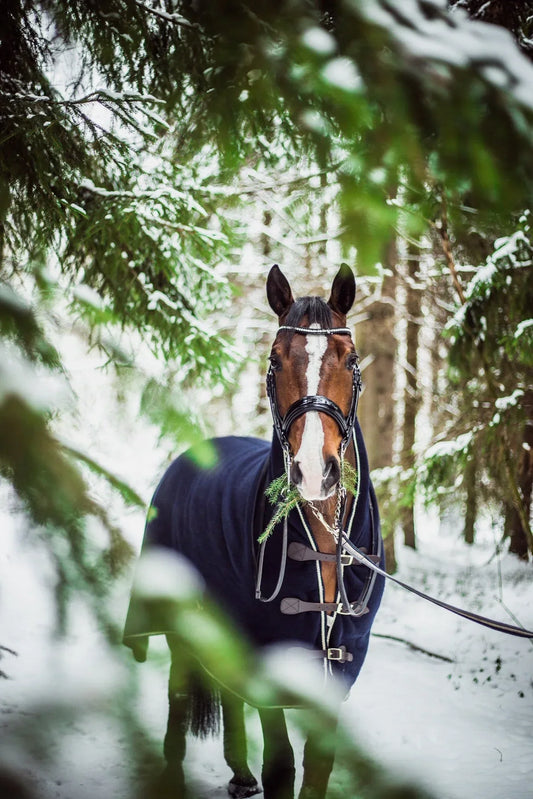 Is your horse getting enough vitamin E?