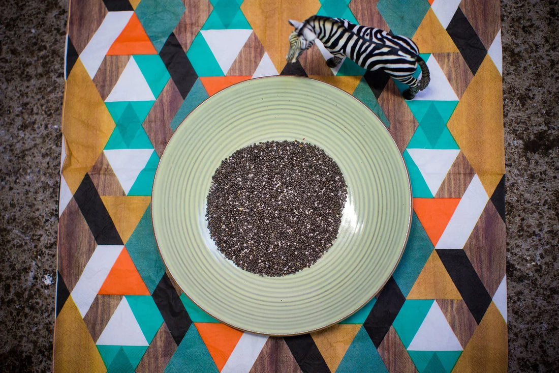 Magnesium in Chia Calms a Stress-Sensitive Horse