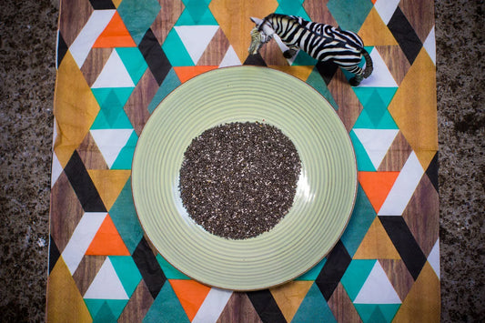 Magnesium in Chia Calms a Stress-Sensitive Horse