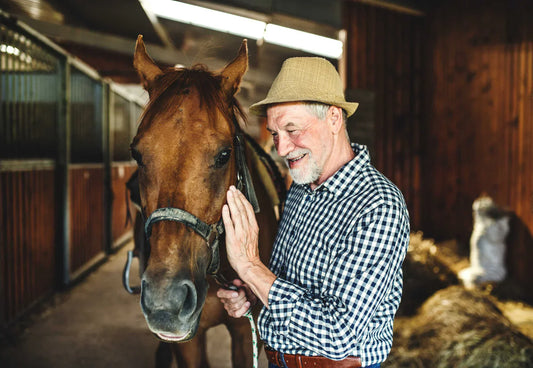 Feeding the senior horse