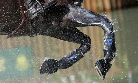 5 Facts About Feeding (Sport) Horses