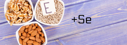 Is Vitamin E and Selenium Beneficial for a Horse's Immune Resilience?