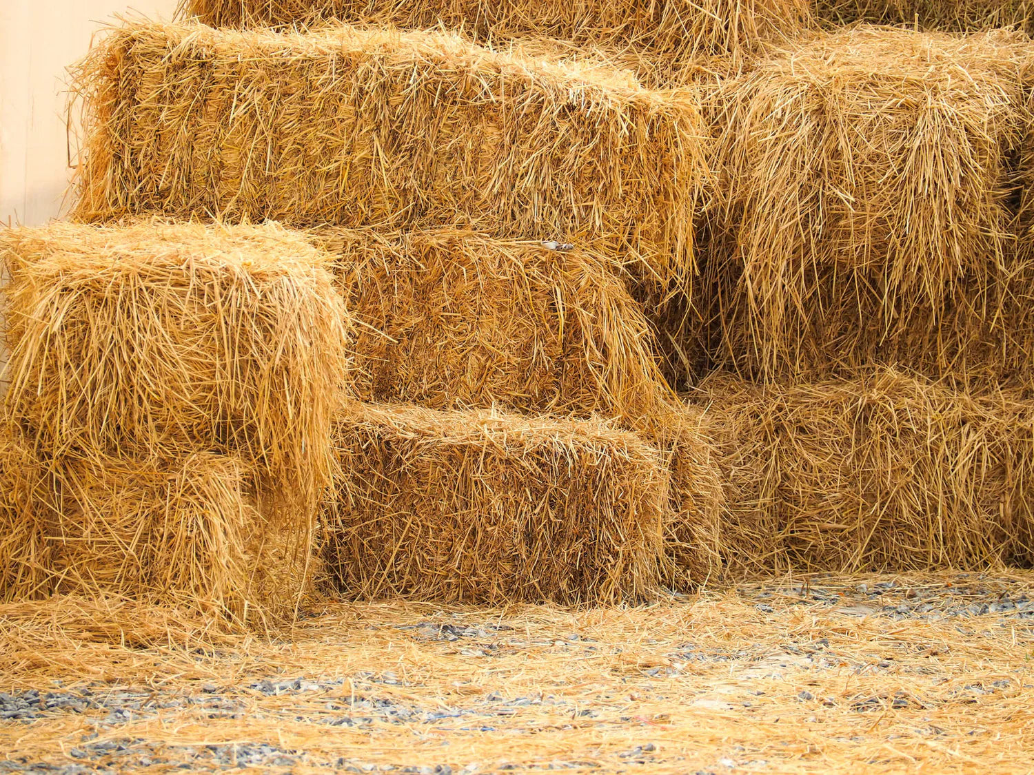 What Happens to Hay During Winter Storage? – Chia de Gracia EN