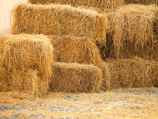 What Happens to Hay During Winter Storage?
