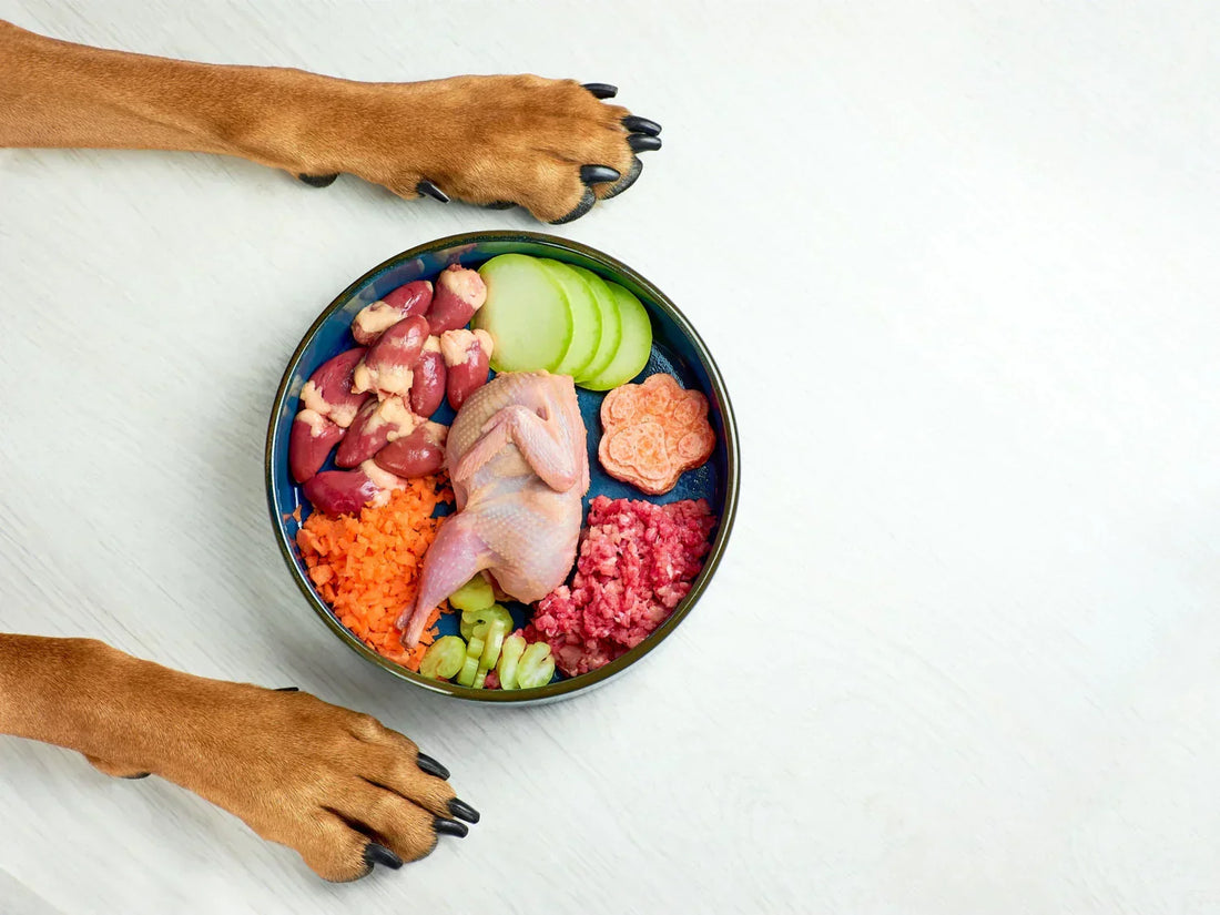 Vitamin and Mineral Interactions in a Dog's Nutrition
