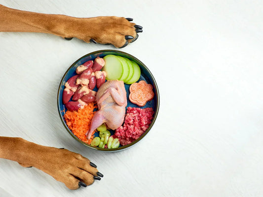 Vitamin and Mineral Interactions in a Dog's Nutrition