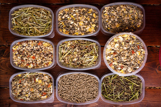 What Ingredients Do Feeds Really Contain – and Why?