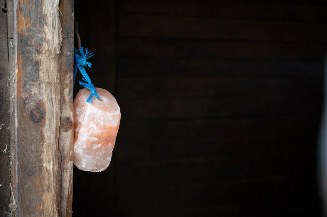 Modest but essential salt secures a horse's basic physiological needs