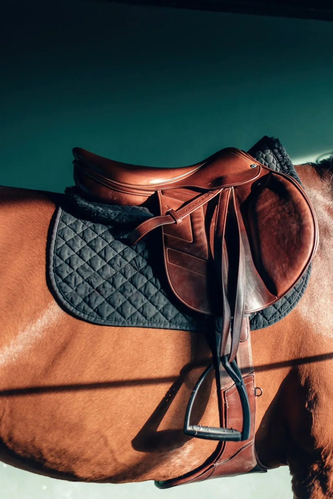 The Role of Nutrition in Managing Equine Muscle Disorders