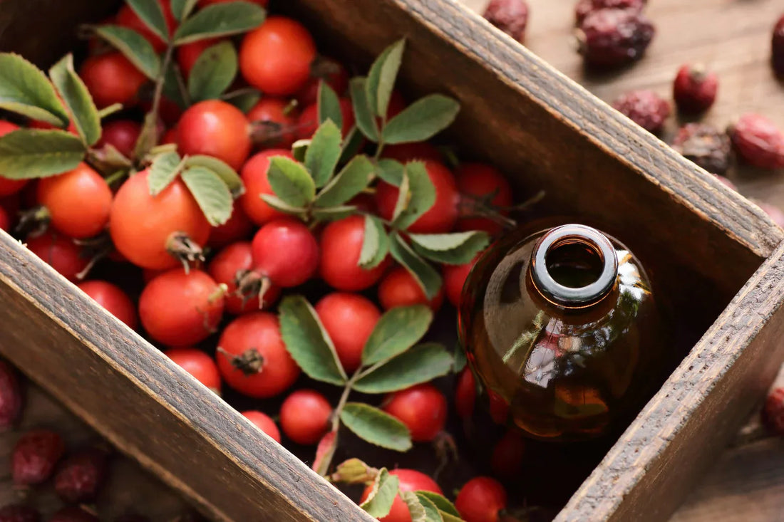 Studies on the Use of Rose Hip for Horses and Dogs