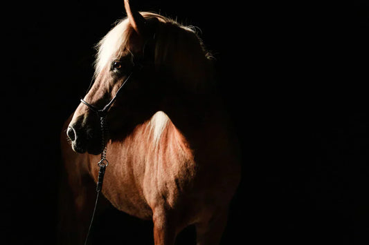 100% NATURAL VITAMIN E CdGE IS CHANGING!