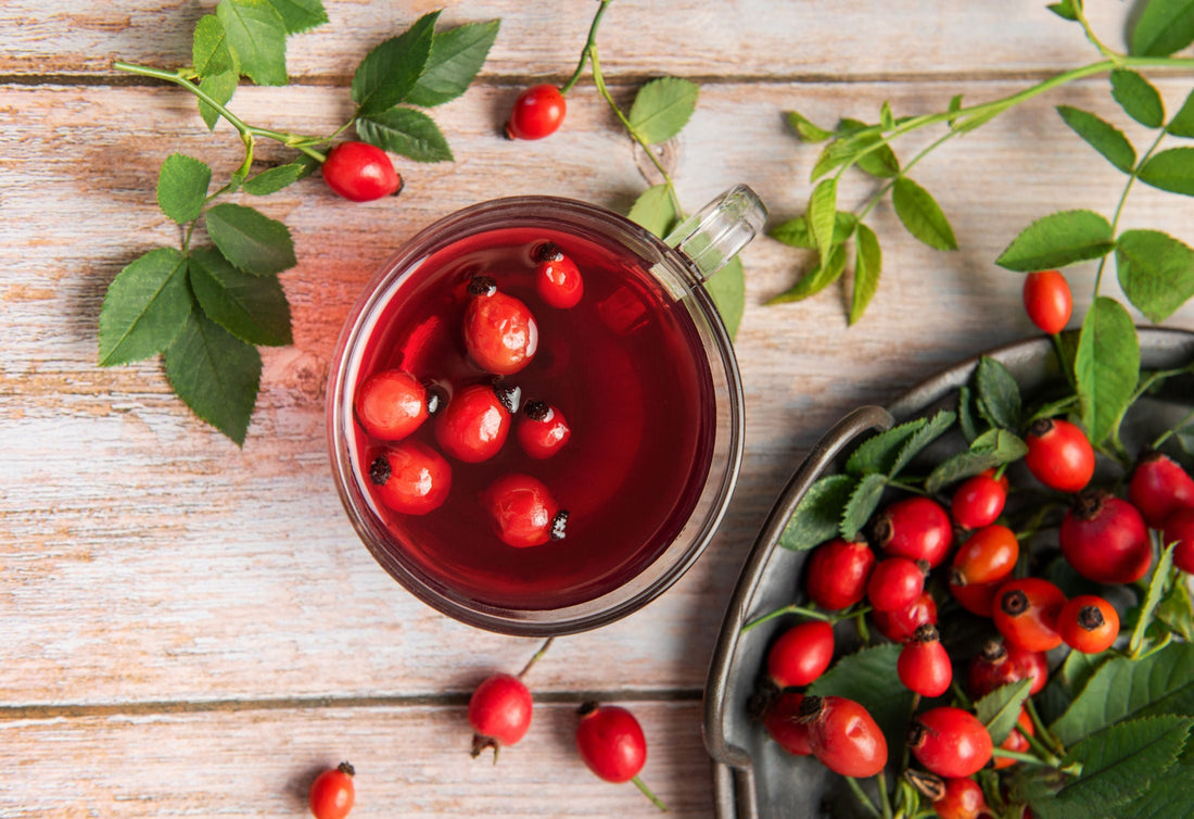 Rosehip for Dogs – Benefits for Joints, Mobility and Nutrition