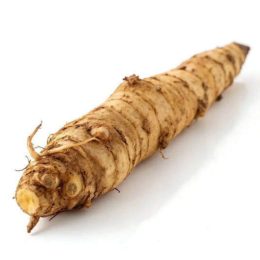 Inulin in Equine Digestion & Microbiome Balance