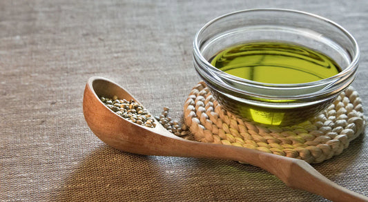 Is Your Dog Getting Enough Omega Fatty Acids?