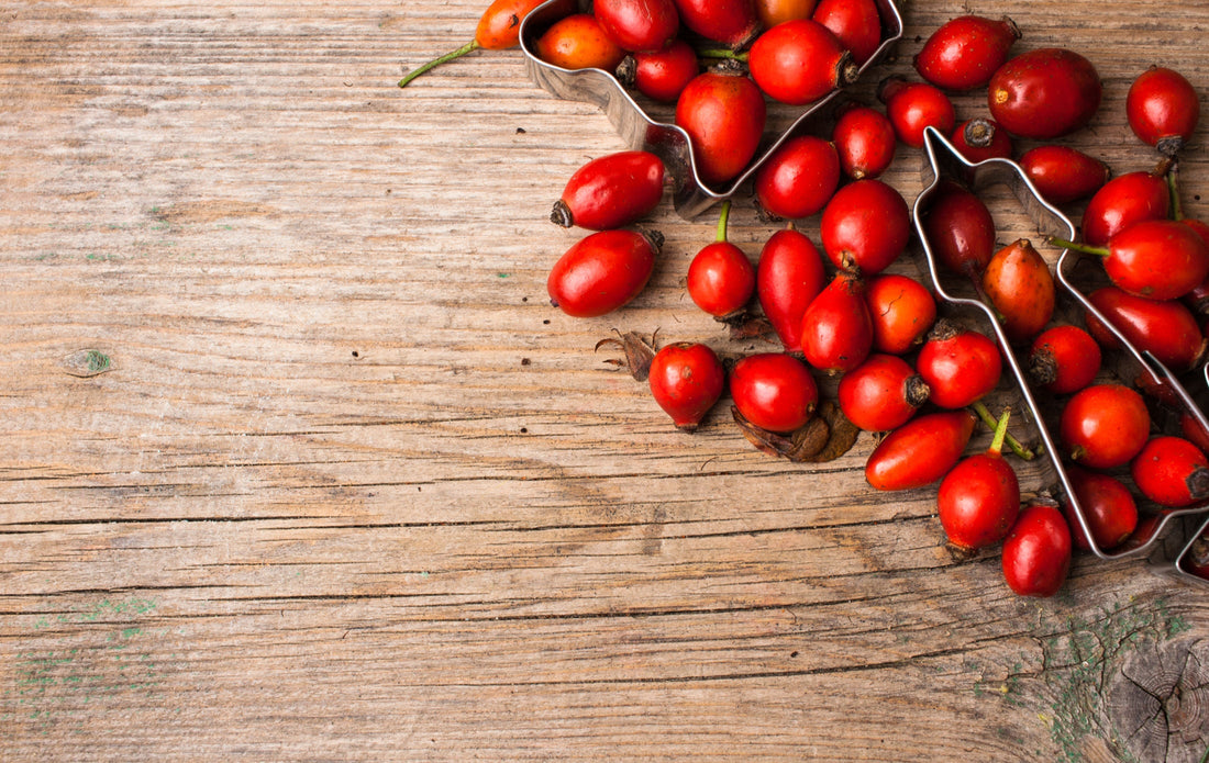 The Effects of Rosehip in Horses and Dogs – What Does Research Tell Us?