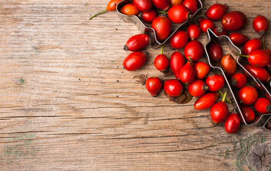 The Effects of Rosehip in Horses and Dogs – What Does Research Tell Us?