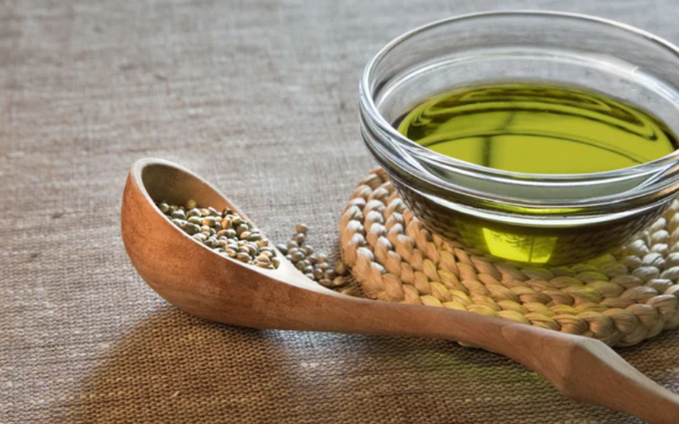 Omega Fatty Acids for Dogs