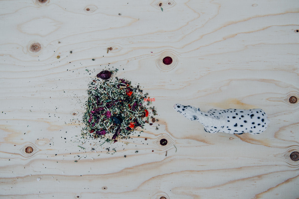 Joints & Tendons