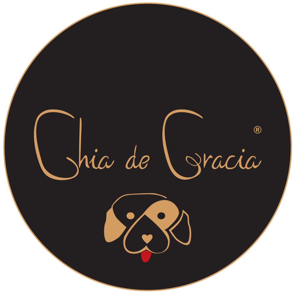 CdG Dogs, (6194462949571)