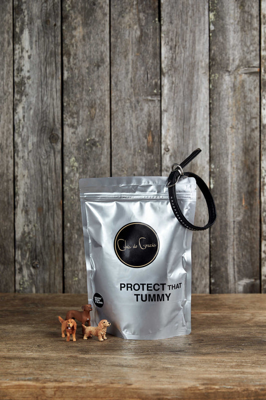 Protect That Tummy for Dogs